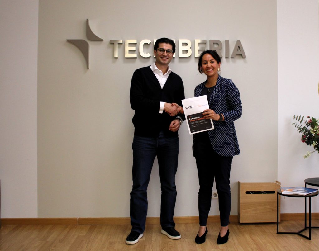 Tecniberia y Gober firman un acuerdo para mejorar el acceso de las ingenierías a las oportunidades de contratación pública 5 Inteligencia artificial