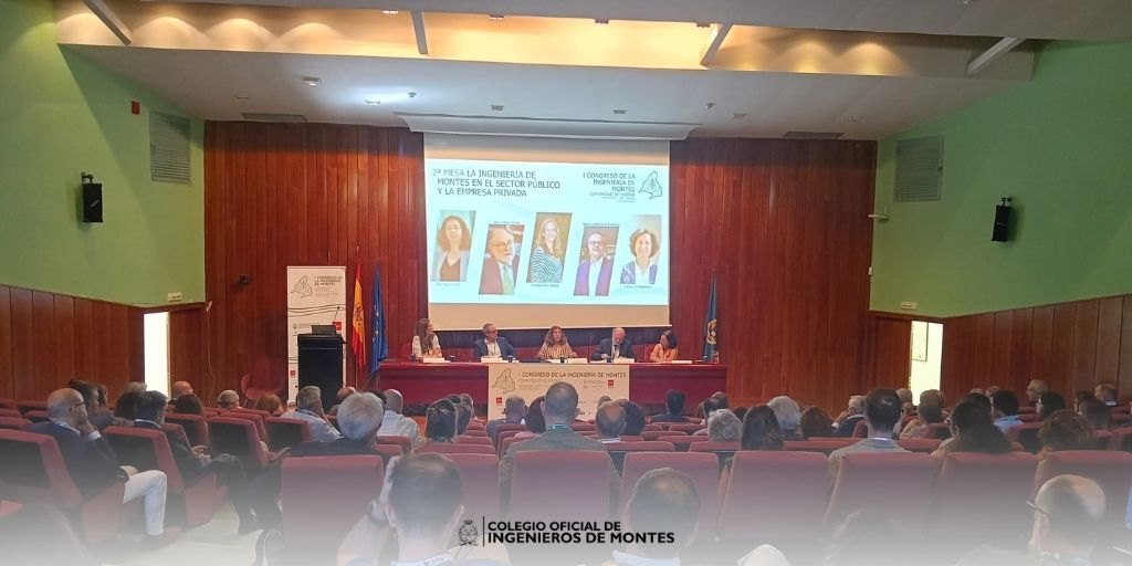 La presidenta de Tecniberia participa en el I Congreso de la Ingeniería de Montes de la Comunidad de Madrid 3 Mesa Redonda